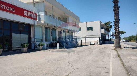 豪宅  Barletta, 巴尔莱塔-安德里亚-特兰尼省