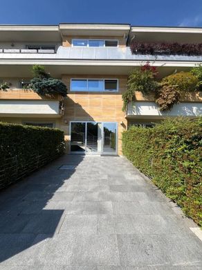 Daire Cuneo, Cuneo ilçesinde