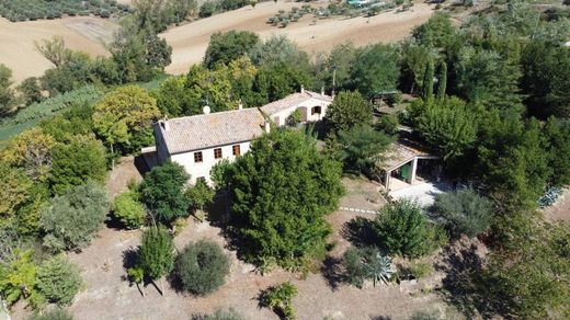 Country House in Orciano di Pesaro, Pesaro and Urbino