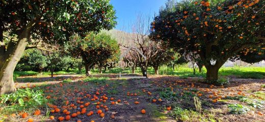 Propriété de campagne à Pouzzoles, Naples