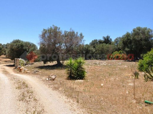 Villa - San Michele Salentino, Provincia di Brindisi