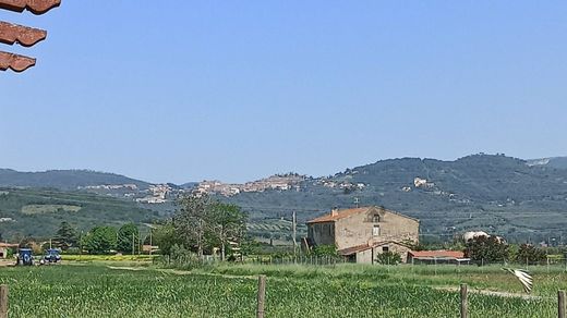 Gospodarstwo w Campiglia Marittima, Provincia di Livorno