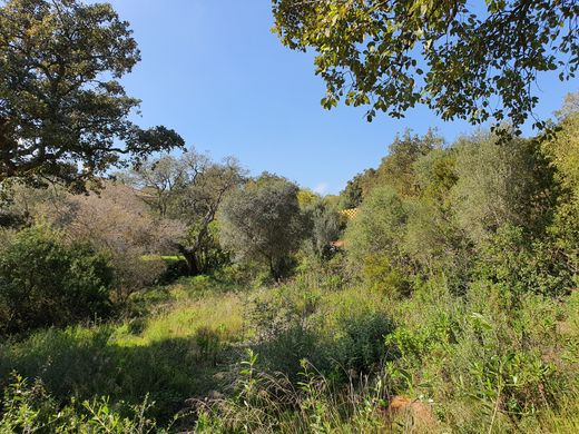 Terreno a Sotogrande, Cadice
