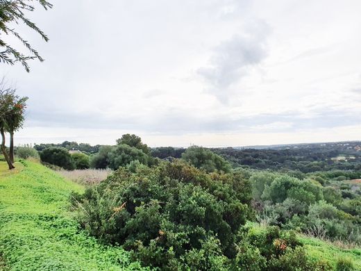 Terreno a Sotogrande, Cadice