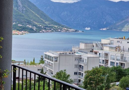 Appartamento a Dobrota, Kotor