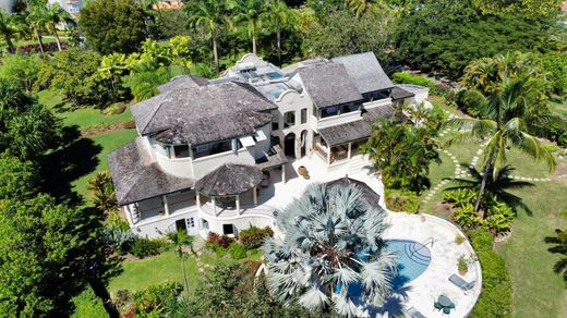 Maison de luxe à Westmoreland, Saint James