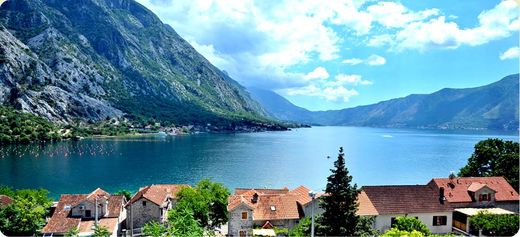 宾馆/酒店  Kotor