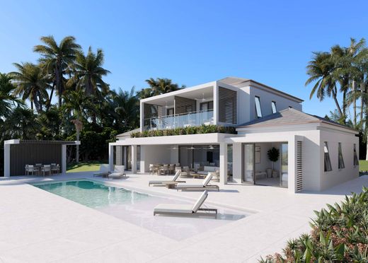 Villa Apes Hill, Saint James