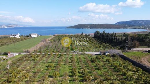 Terreno a Ermióni, Nomós Argolídos