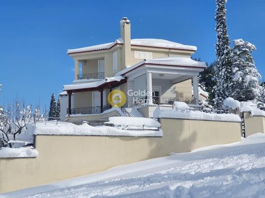 Casa de lujo en Livadeiá, Nomós Voiotías