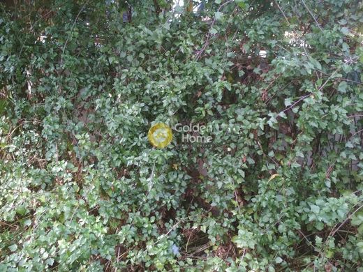 Terreno a Khalándrion, Nomarchía Athínas