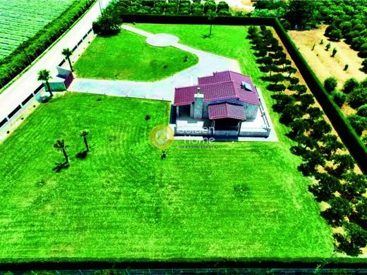 Terrain à Néa Tírins, Nomós Argolídos