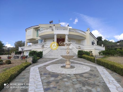 Casa de lujo en Tebas, Nomós Voiotías