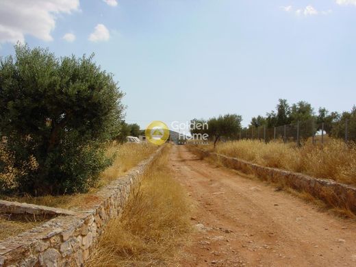 Grundstück in Koropí, Nomarchía Anatolikís Attikís