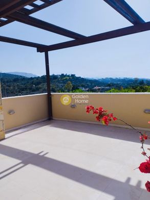 호화 저택 / Paianía, Nomarchía Anatolikís Attikís