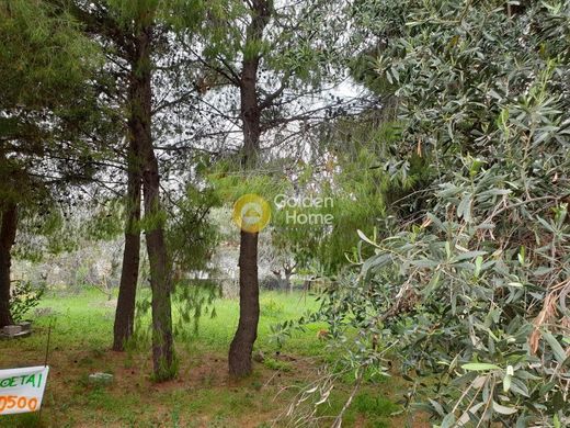 ‏קרקע ב  Agía Paraskeví, Nomarchía Athínas