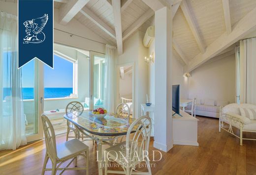 Лофт, Bibbona, Provincia di Livorno