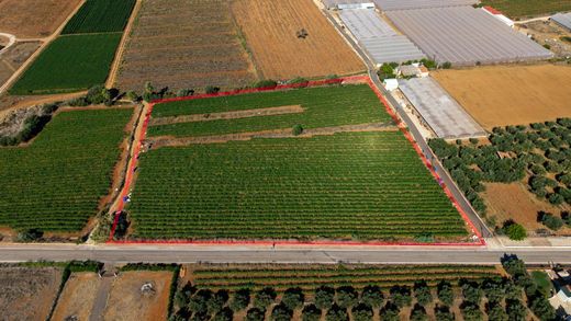Terreno a Messíni, Messenia