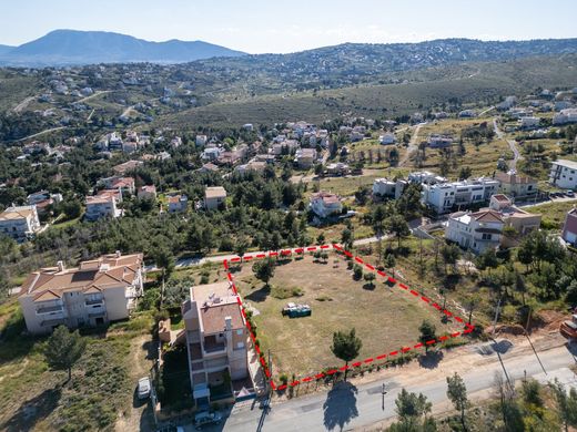 Terrain à Dióni, Nomarchía Anatolikís Attikís