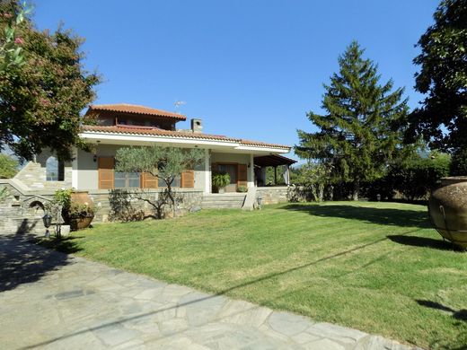 Detached House in Drama, Nomós Drámas