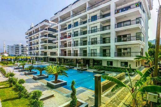Daire Kargıcak, Alanya