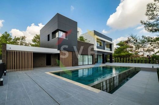 빌라 / Soúni, Soúni-Zanakiá