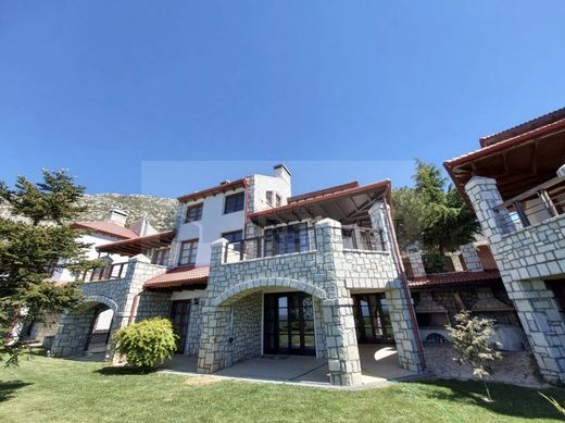 Casa en Aráchova, Nomós Voiotías