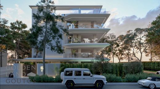 Daire Voúla, Nomarchía Anatolikís Attikís