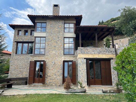 Willa w Aráchova, Nomós Voiotías