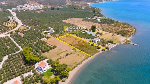 Terreno - Ermióni, Nomós Argolídos