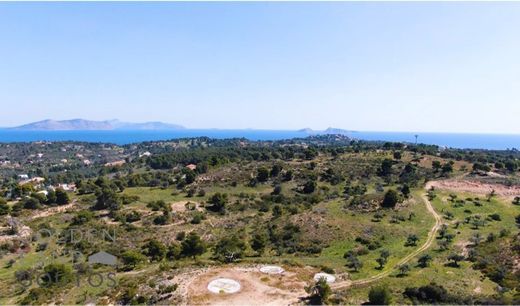 Terreno - Kranídi, Nomós Argolídos