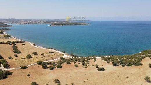 ‏קרקע ב  Kranídi, Nomós Argolídos