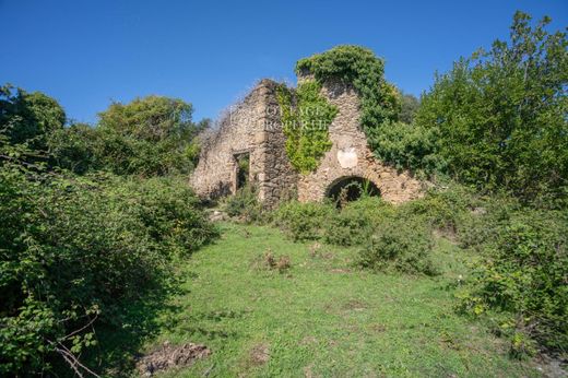 Rural ou fazenda - Sant Aniol de Finestres, Gerunda