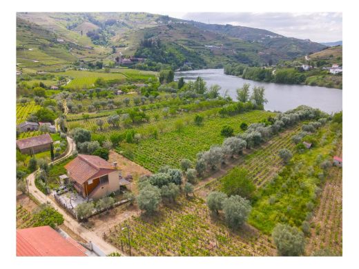 Farm in Cambres, Lamego