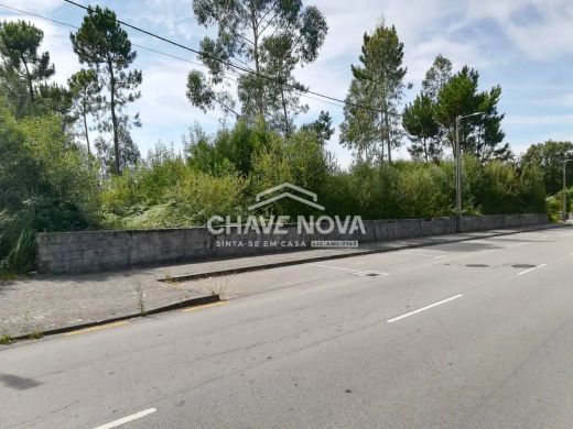 Land in São João de Ver, Santa Maria da Feira