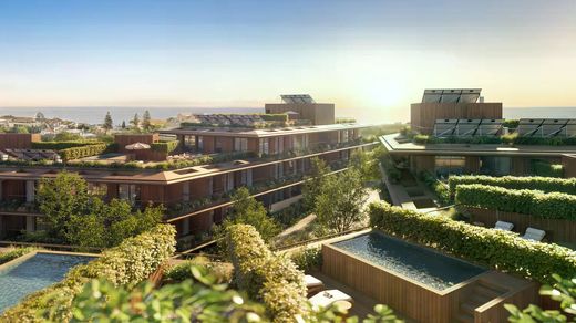 Apartment in Aldoar, Porto