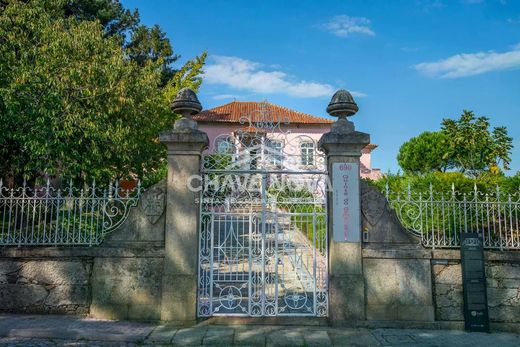 Farm in Coronado, Trofa