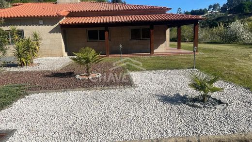 Farm in Recezinhos, Penafiel