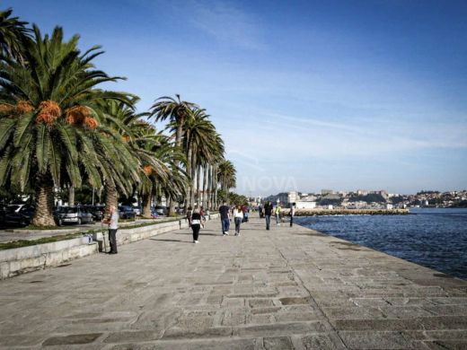 Apartment in Aldoar, Porto
