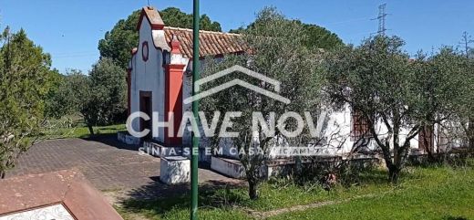 Terreno - São Bartolomeu de Messines, Silves