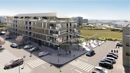 Daire Aveiro, Distrito de Aveiro