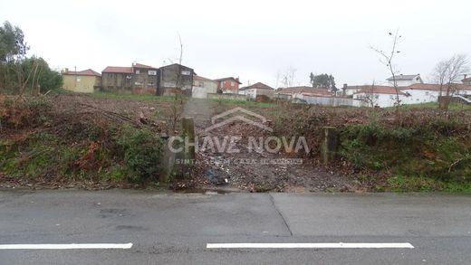 Land in Fiães, Santa Maria da Feira