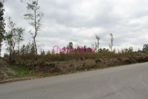 Land in Santa Maria da Feira, Aveiro